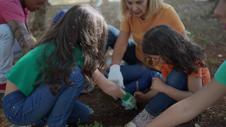 Ponderosa Park, CO Tree Services Company